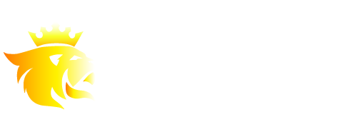 T883 ⭐⭐⭐⭐⭐